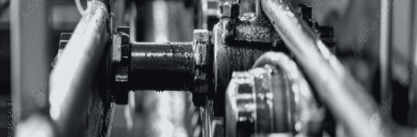 Paint shop conveyor chain and bearings